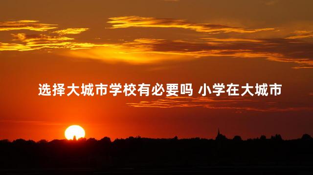选择大城市学校有必要吗 小学在大城市还是小城市上